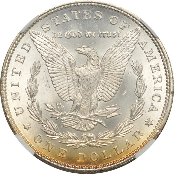 Three 1884 - MS-64, MS-64 Star, and MS-65 Star, all NGC CAC