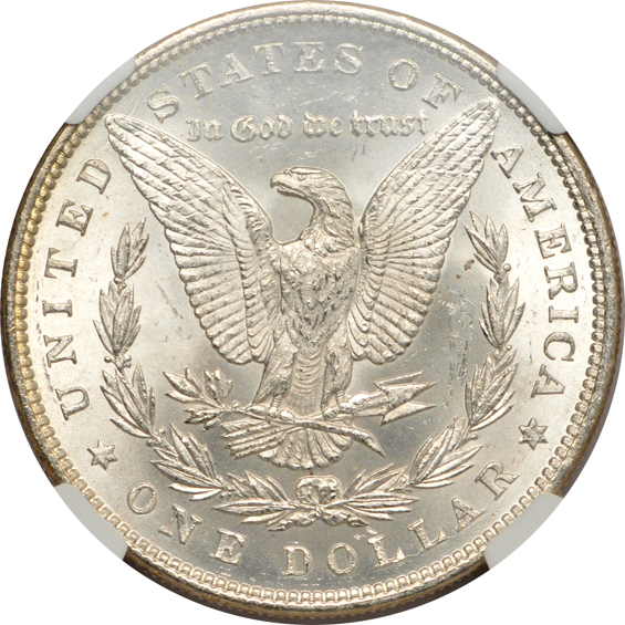 Three 1884 - MS-64, MS-64 Star, and MS-65 Star, all NGC CAC