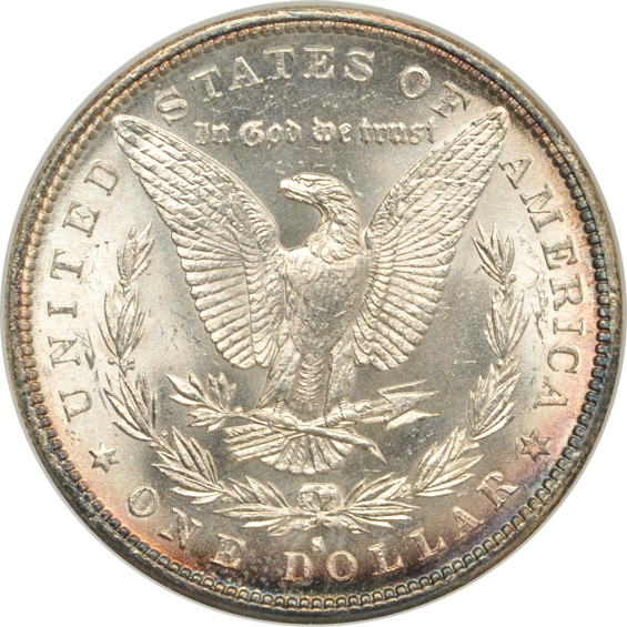 Four 1882-S, and an 1884-O, all NGC MS-65 (no line) CAC