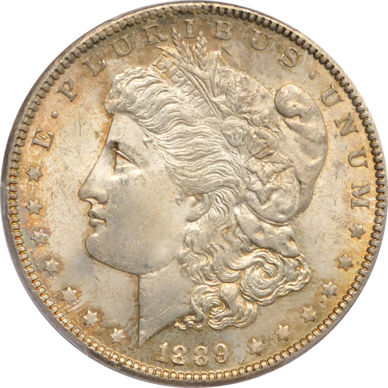 Twelve Uncirculated Morgan silver dollars certified by PCGS
