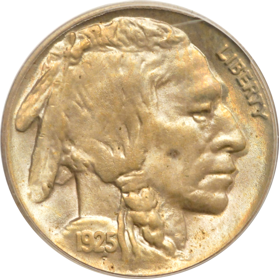 Seven Buffalo nickels certified by PCGS