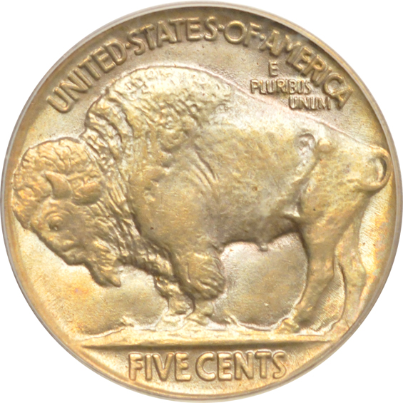 Seven Buffalo nickels certified by PCGS