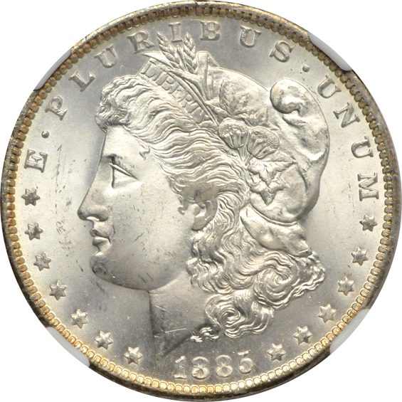 Six GEM Morgan silver dollars certified by NGC