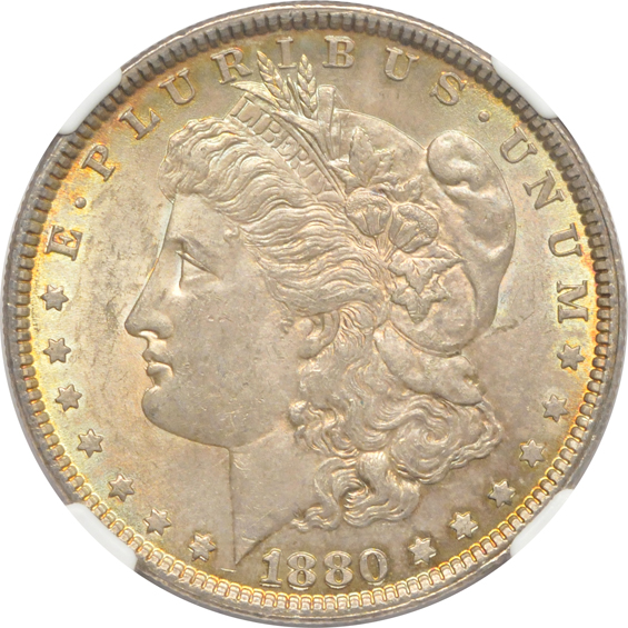 Nineteen CHOICE silver dollars certified by NGC.  