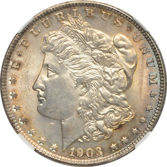 Nineteen CHOICE silver dollars certified by NGC.  