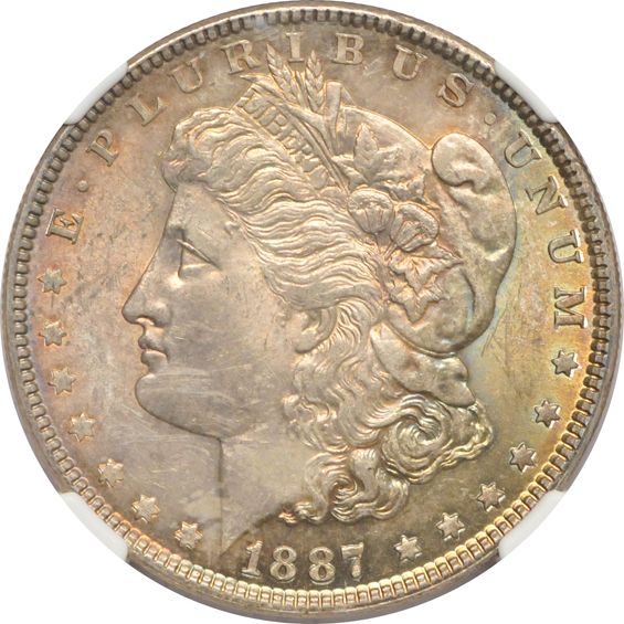 Nineteen CHOICE silver dollars certified by NGC.  