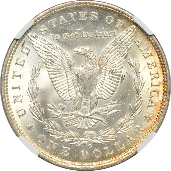 Six NGC certified and one ICG certified Morgan silver dollars
