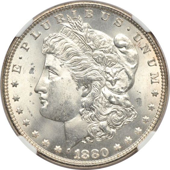 Six NGC certified and one ICG certified Morgan silver dollars