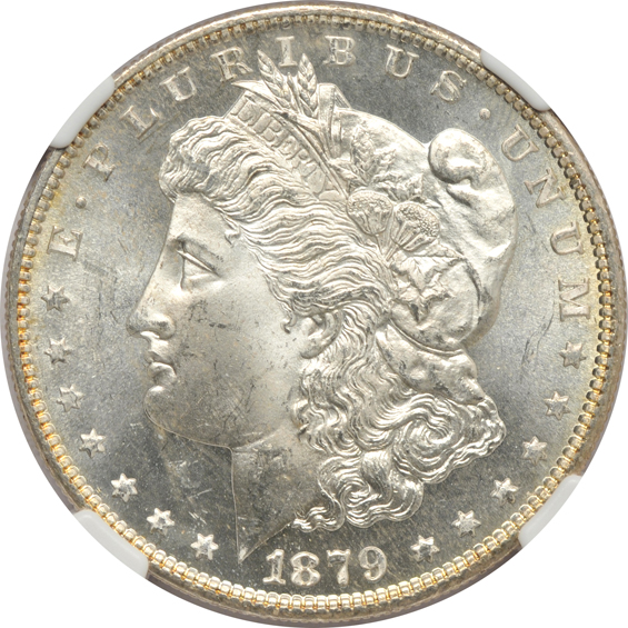 Six NGC certified and one ICG certified Morgan silver dollars