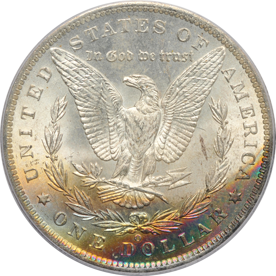 Five Morgan silver dollars certified by PCGS