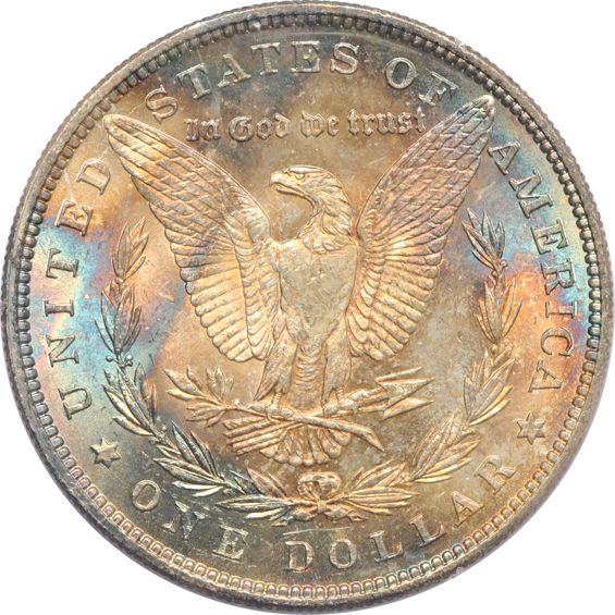 Five Morgan silver dollars certified by PCGS