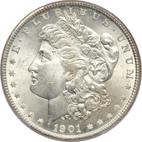 1901-O MS-65, 1903 MS-65, and a 1904-O MS-64, all PCGS
